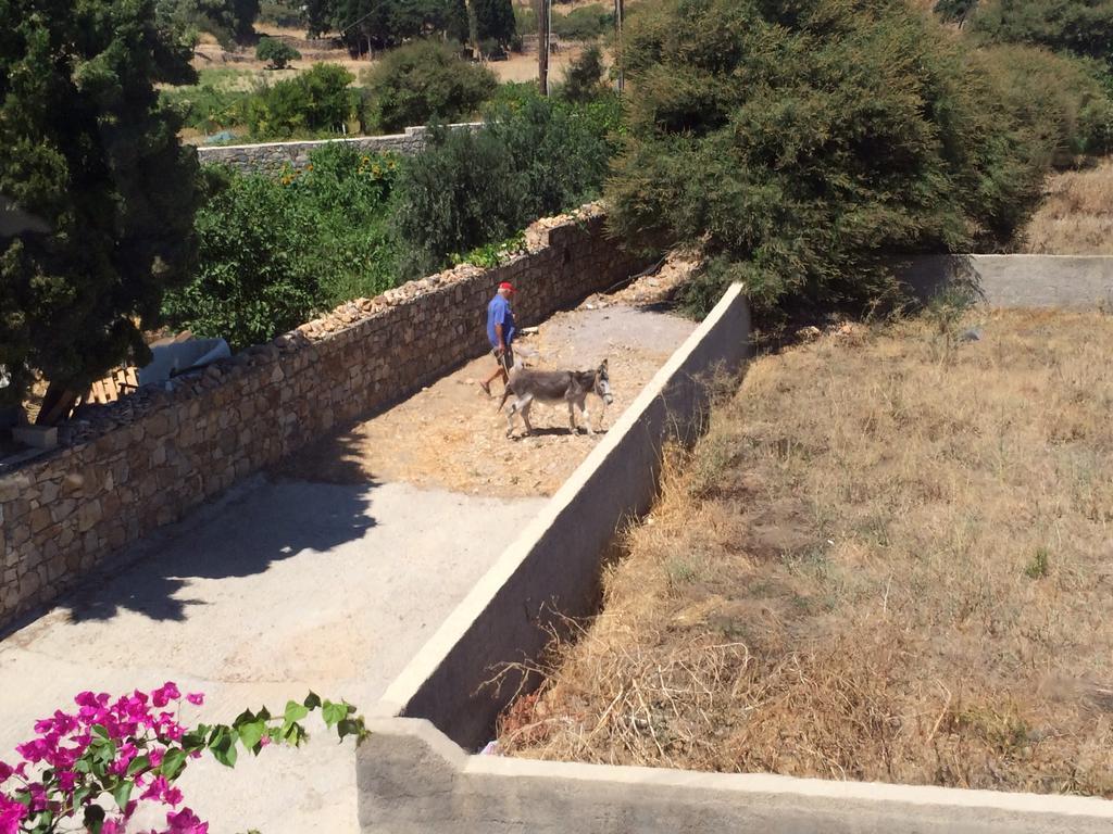 Patmos Villas Γροίκος Εξωτερικό φωτογραφία